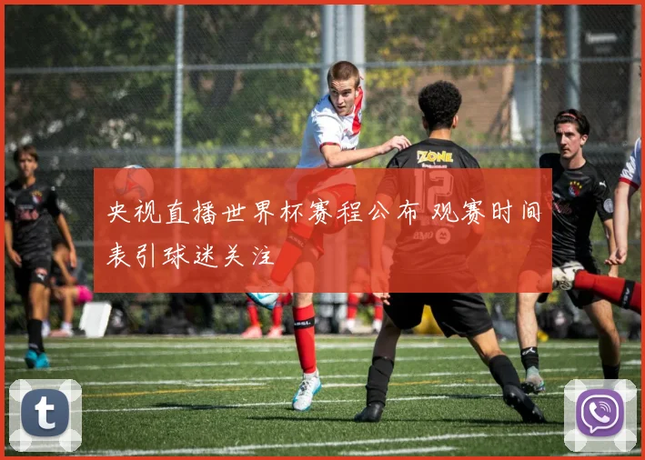 央视直播世界杯赛程公布 观赛时间表引球迷关注
