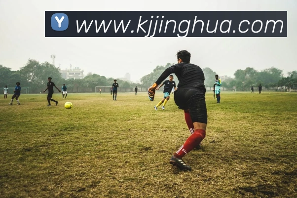 世界杯开户平台平台生态图