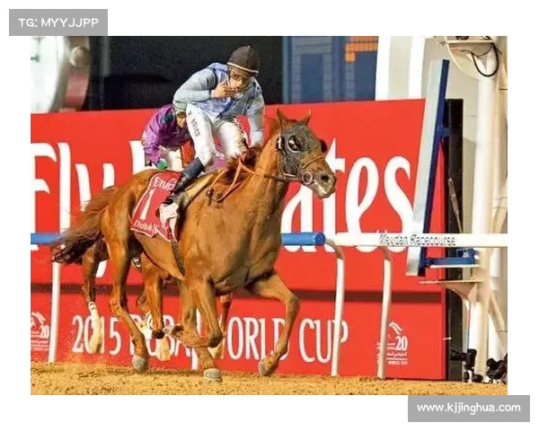 如何从多个维度评估澳洲杯赛事的竞技水平与发展潜力